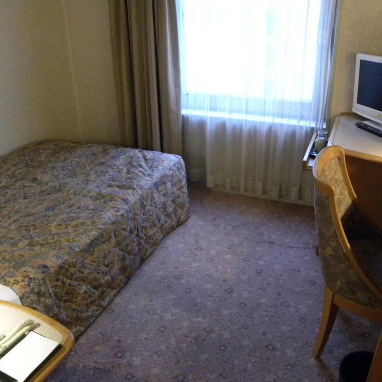 Hotel New Green Okachimachi