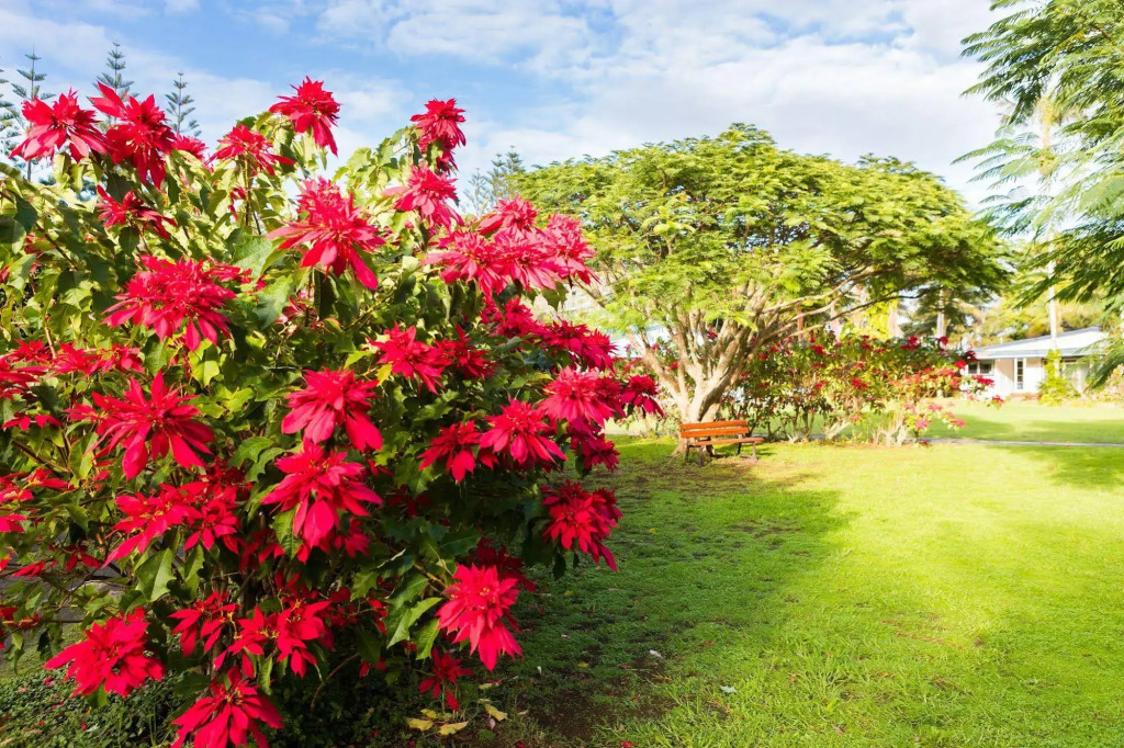 Trade Winds Country Cottages