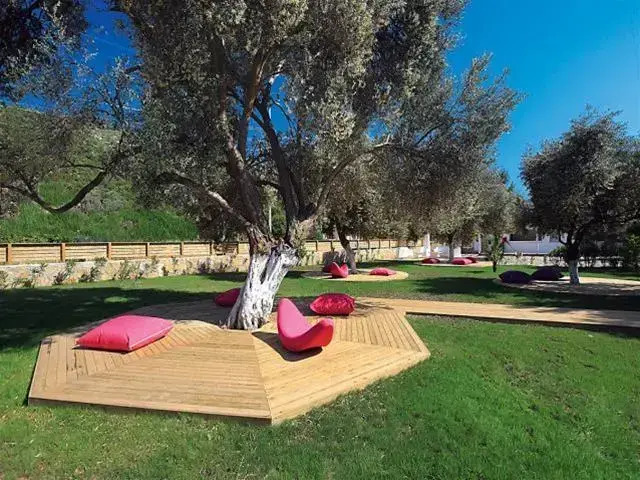 Club Aqua Torba