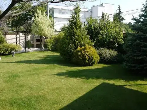 Villa Ray