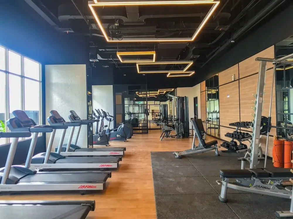 Fabulous 1BR Apartment at The Newton Ciputra World 2