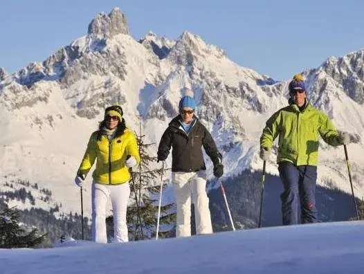 Alpen Villa Rieder