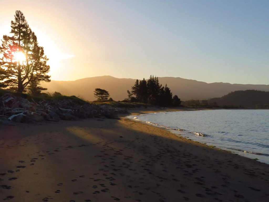 Omarama Oasis - Permaculture Glamping