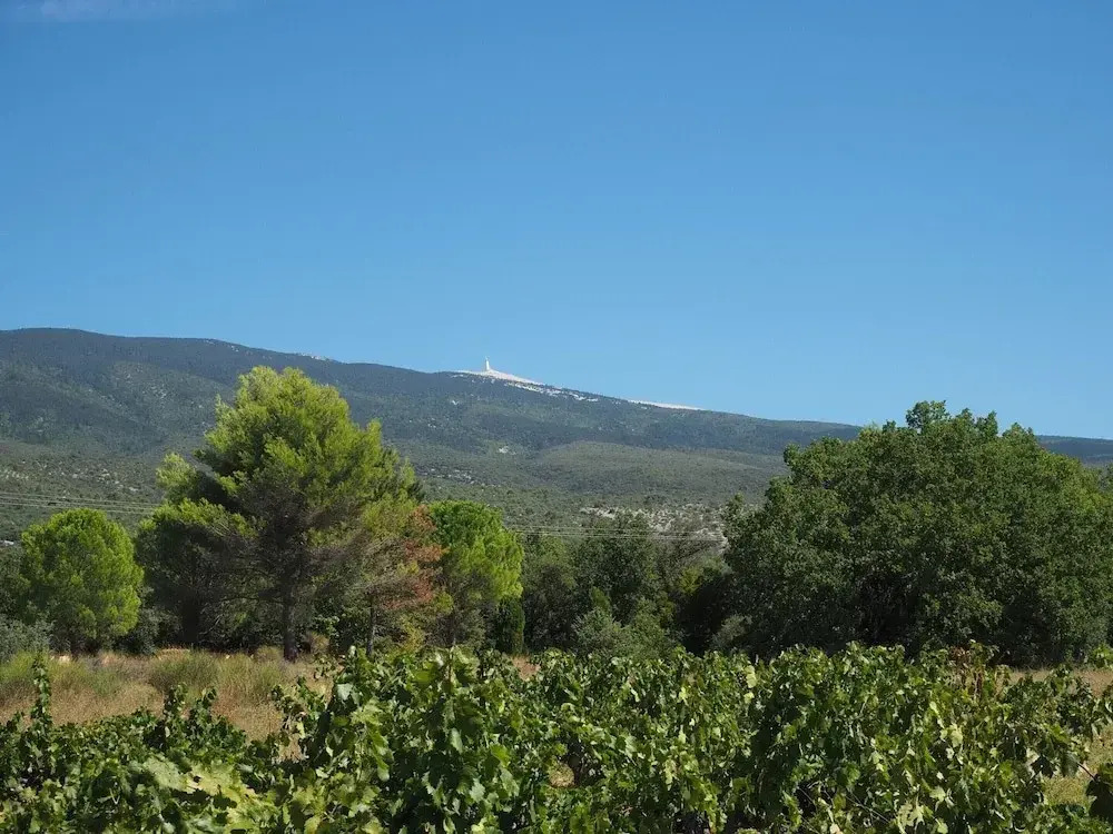 Holiday Home With Private Pool in Bedoin