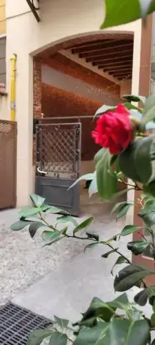 Santarella Guest House