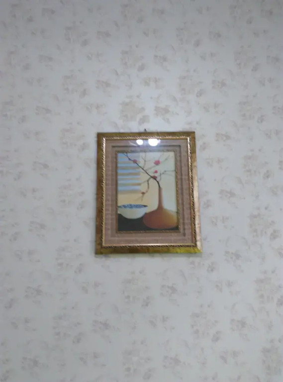 Duckweed Hostel