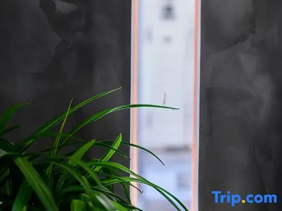 Tiaofangzi Homestay