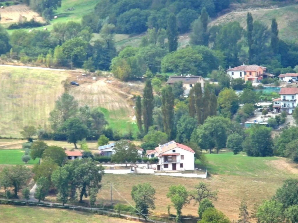 BB Cipriani