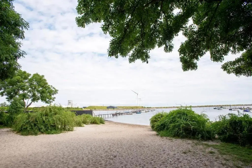 The Beach Gardens by Daniel&Jacobs
