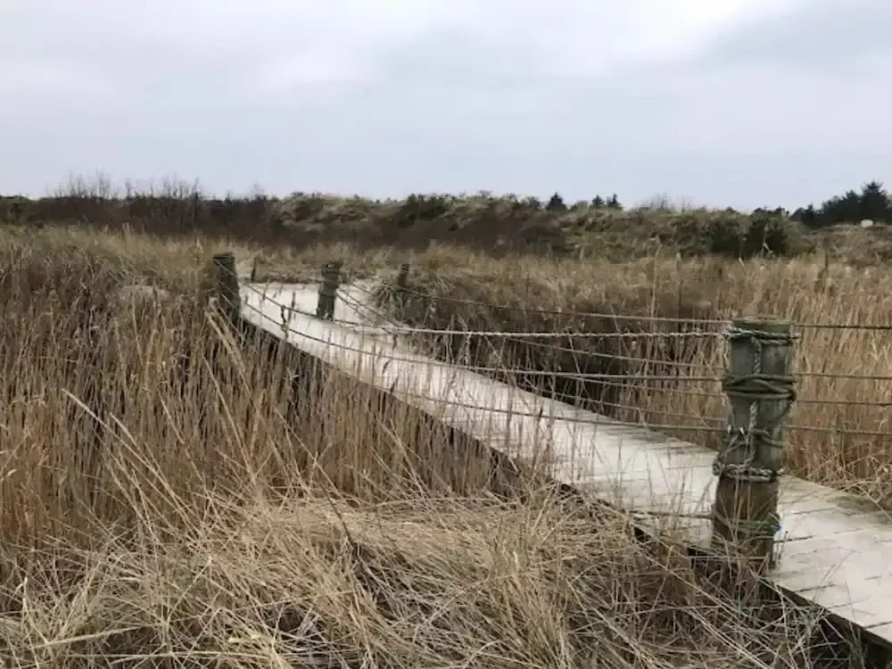 4 star holiday home in Ålbæk