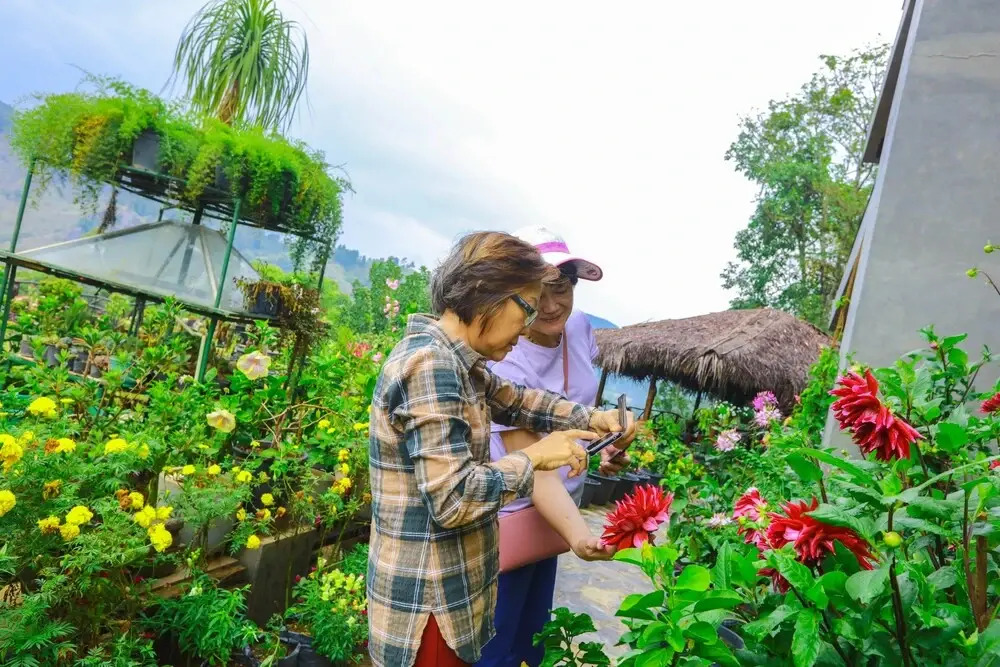 Ella Flower Garden Resort