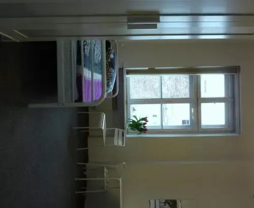 Hostel Witt
