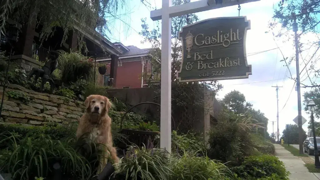 Gaslight Bed & Breakfast