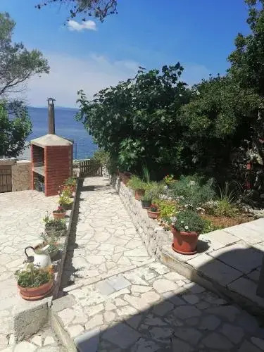 Apartment Rojal