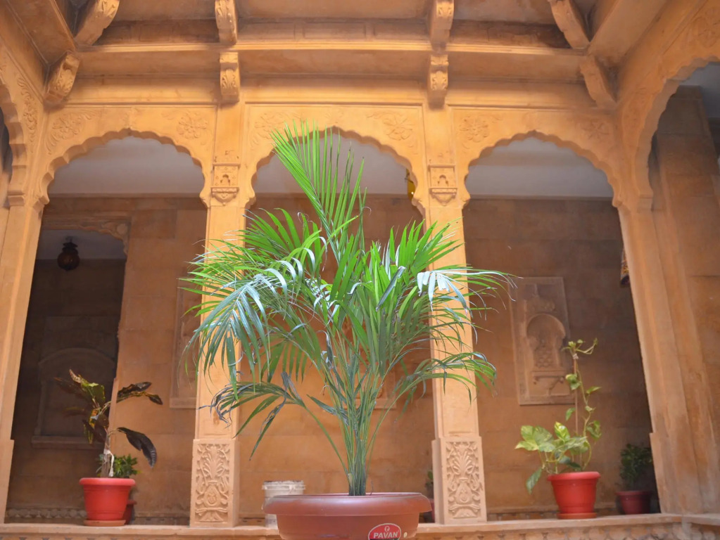 The Golden House Jaisalmer