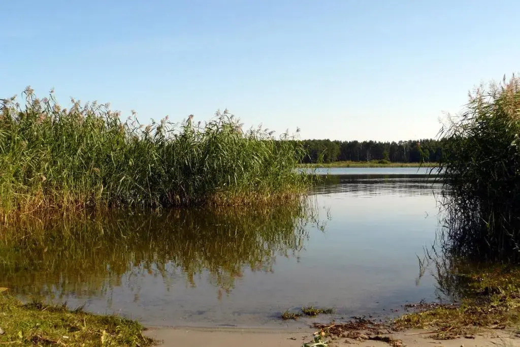 JURMALA ,экологический дом,2 этаж с отдельным входом