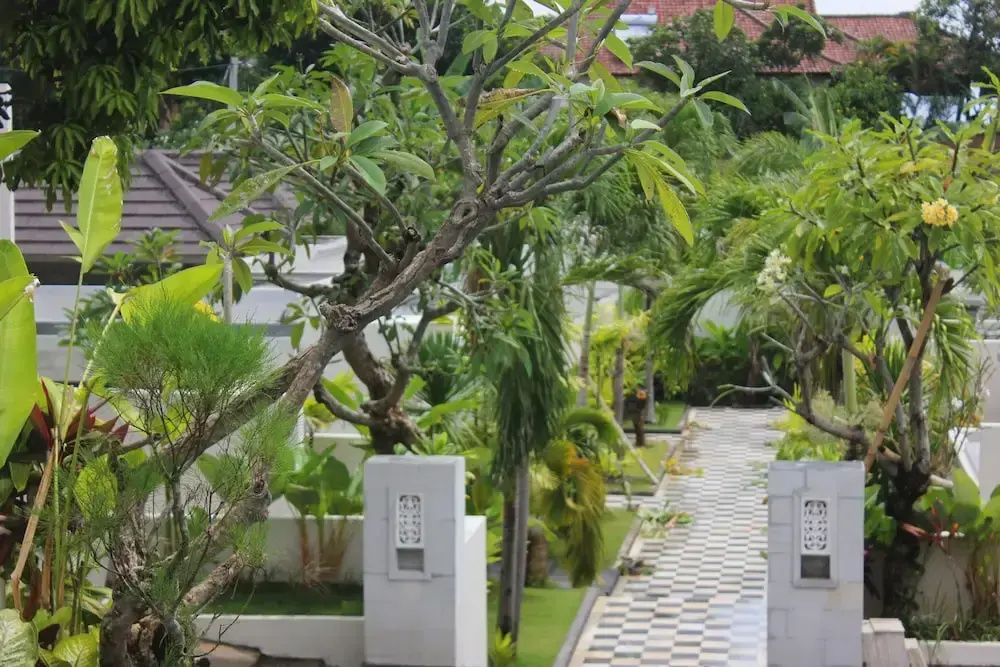 The Kayuputih