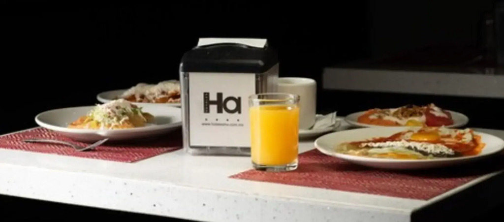 Hotel Ha