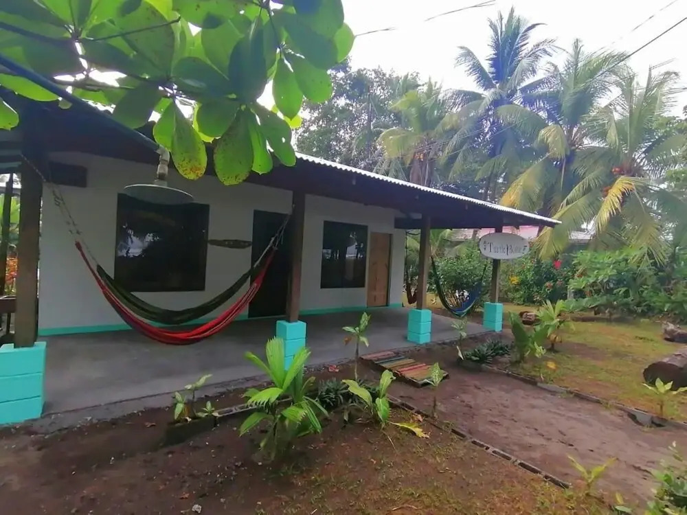 Casa turtle Bogue