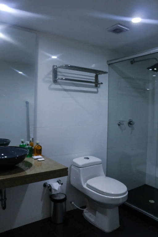 Hotel Castellana 95 Bogota By Hoteles Confort 80