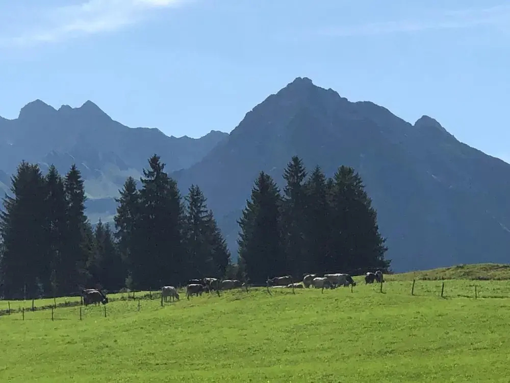 Hotel garni Oberdorfer Stuben