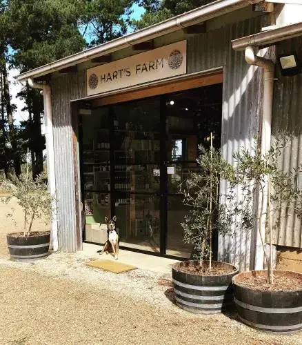 Hart's Farm