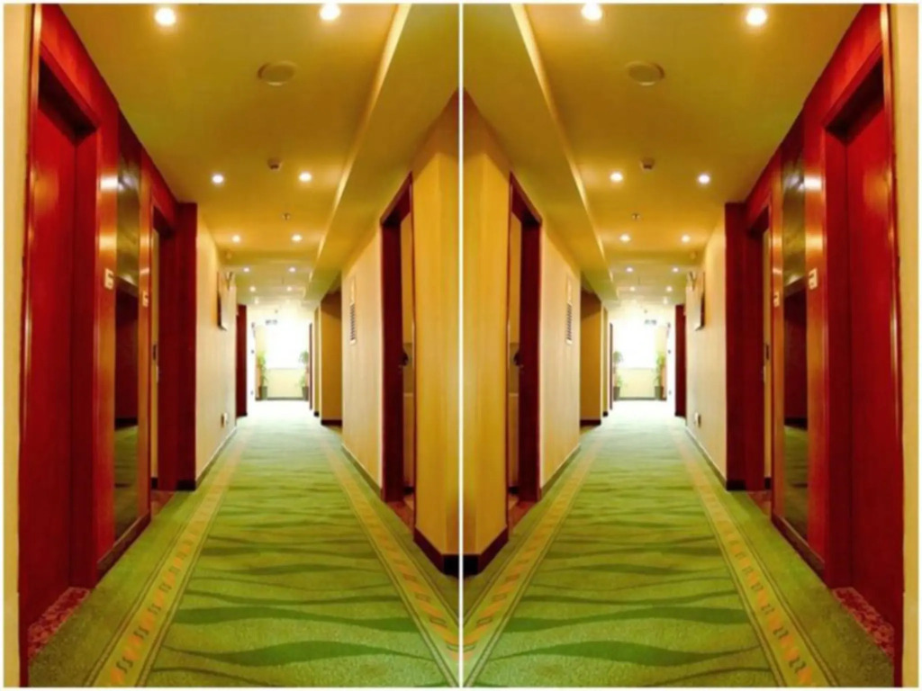 GreenTree Inn Shenzhen Kengzi Town Express Hotel