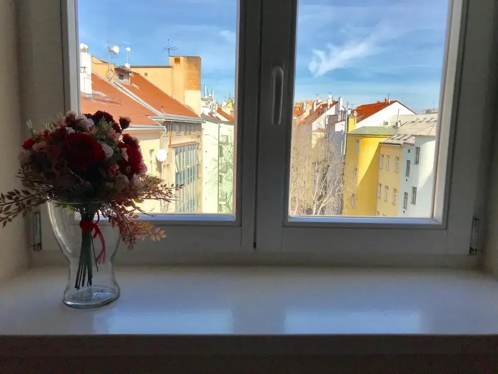 One-bedroom apartment near I.P.Pavlova