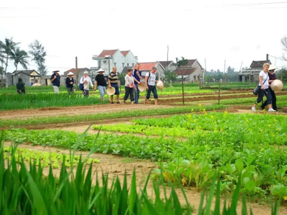 Truc Loc Villa