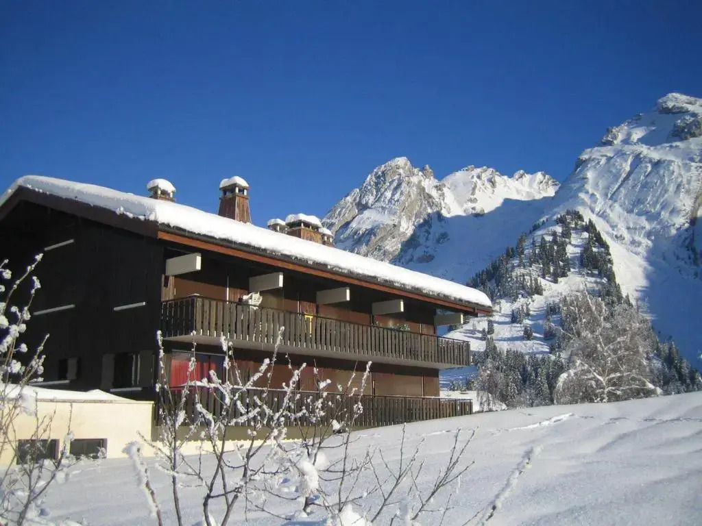 Studio sur pistes ski nordique, animaux admis - FR-1-304-120