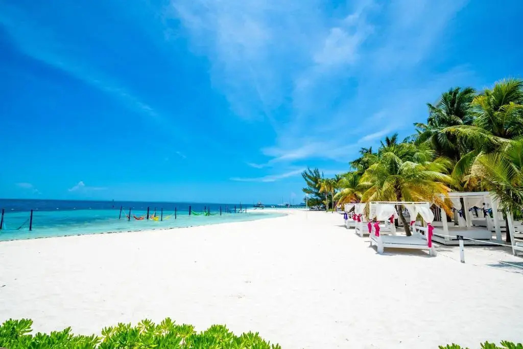 Smart Cancun the Urban Oasis