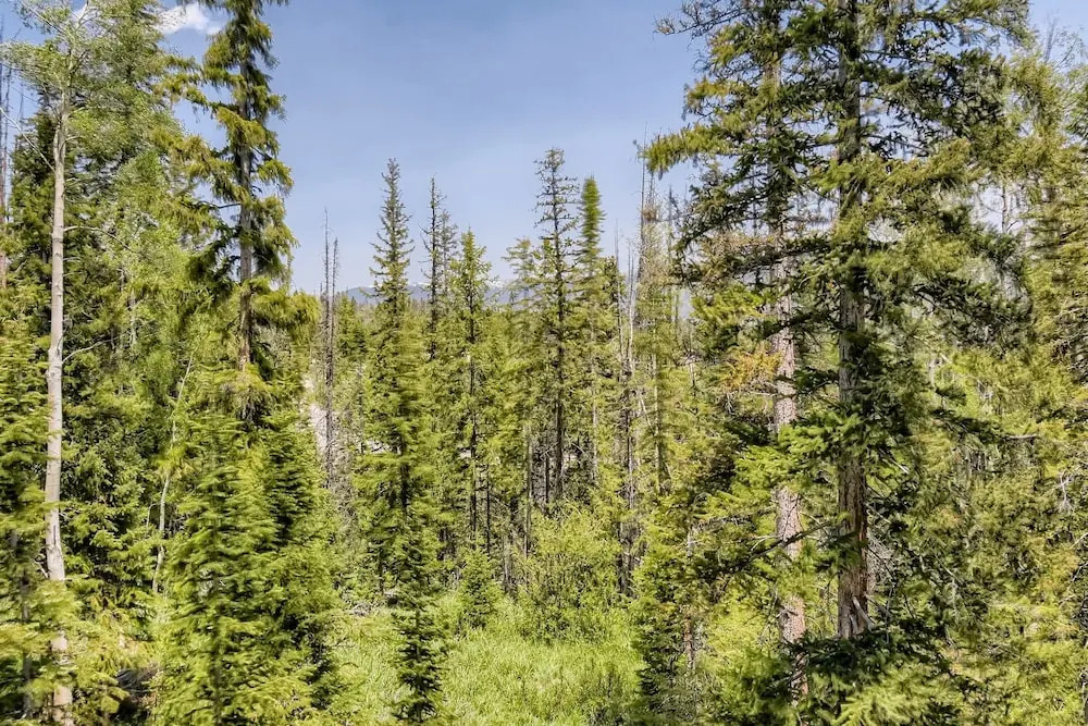Mountain Getaway! Minutes From Family Fun-come Relax And Have A Blast! 4 Bedroom Home by RedAwning