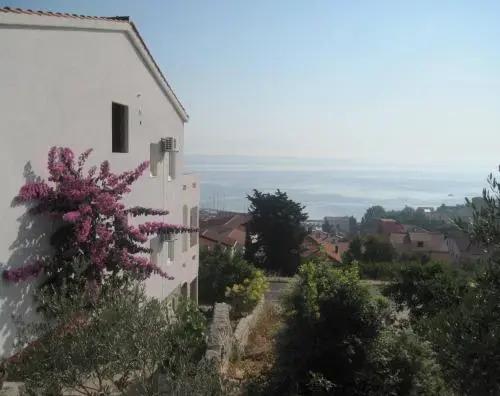Apartments Rosa