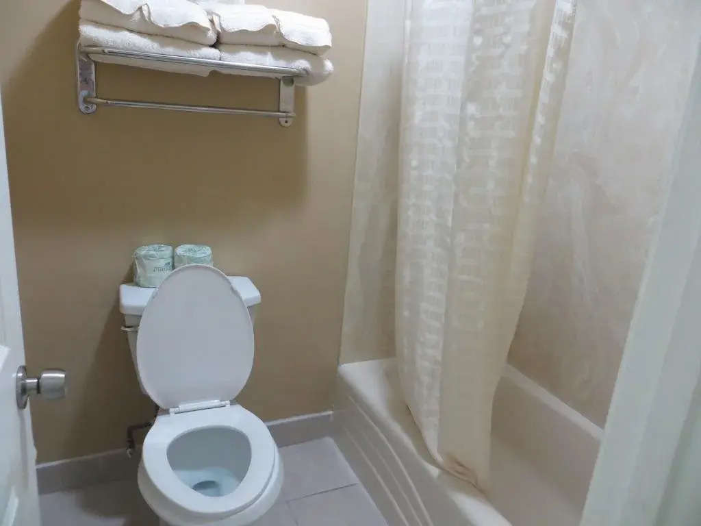 Friendship Motor Inn