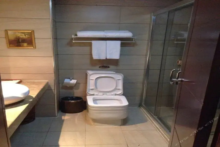 Huiyuan Jinjiang International Hotel