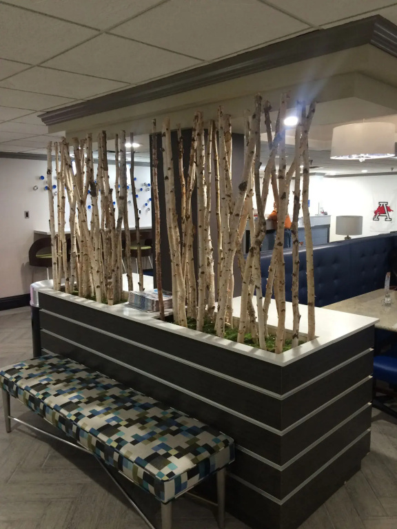 Holiday Inn Express & Suites Fayetteville University of Arkansas Area by IHG