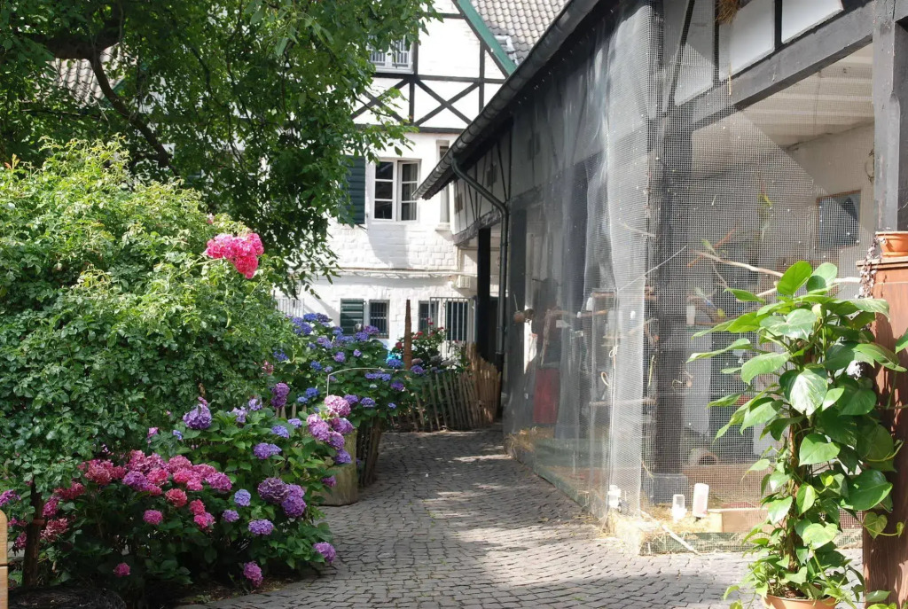 Rhein River Guesthouse - direkt am Rhein
