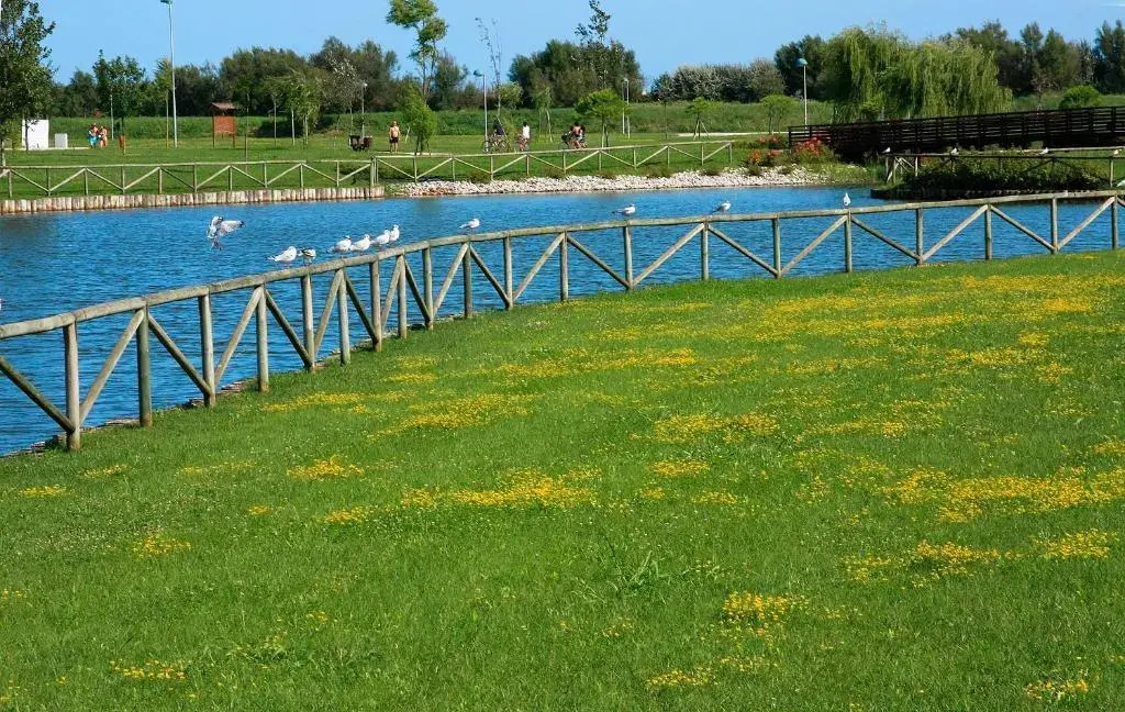 Villaggio Ai Pini Lido Altanea
