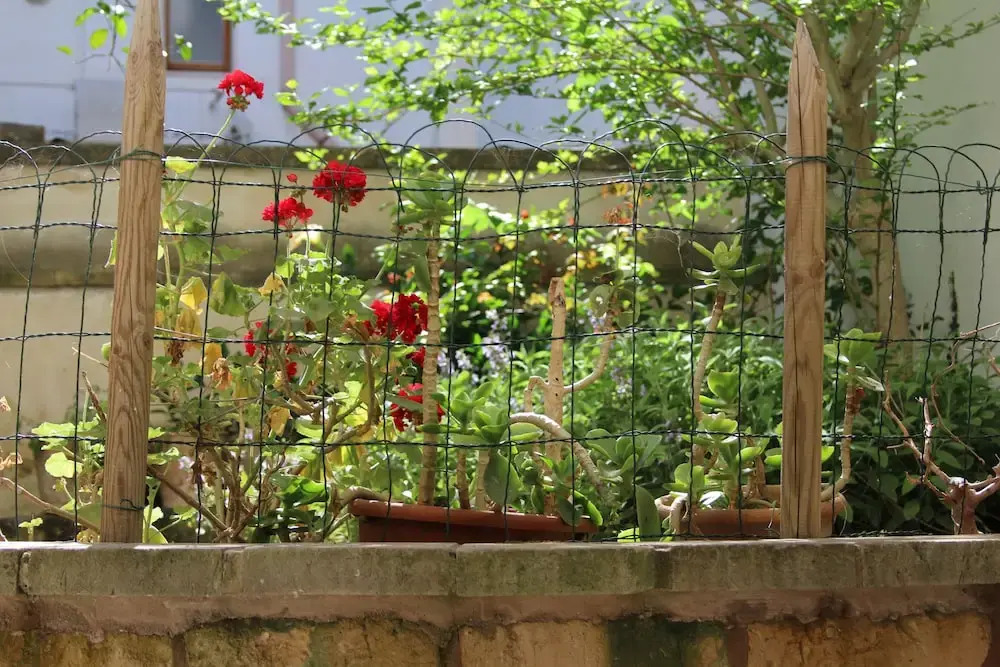 BB A Casa Di Gioia