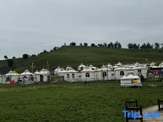 Lao Banzhang Inn (Guanshan Grassland Scenic Area)