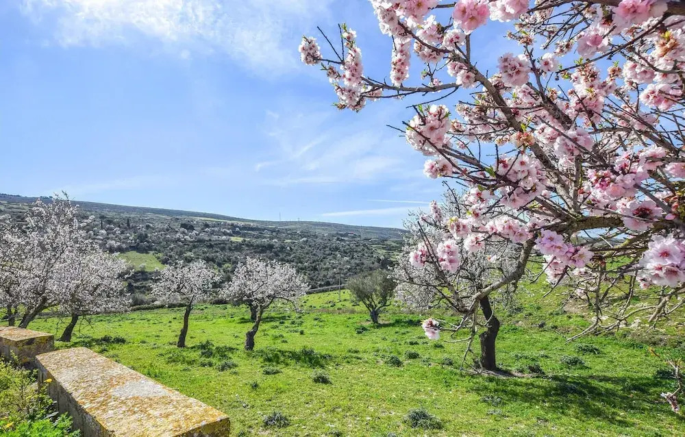 Awesome Home in Ragusa With 3 Bedrooms and Wifi