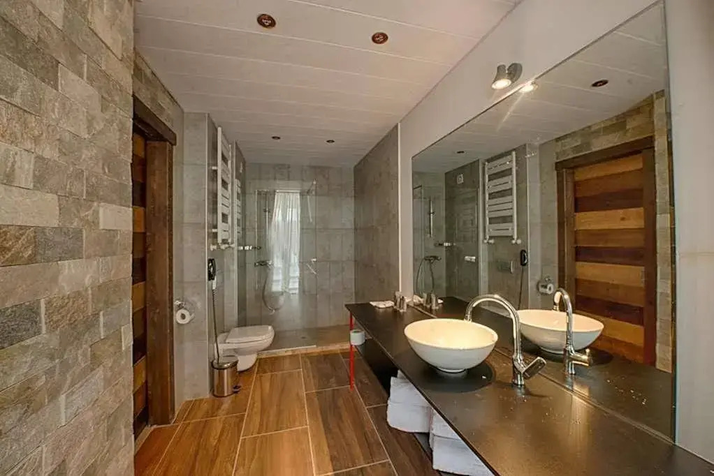 Bakuriani Terrace 8