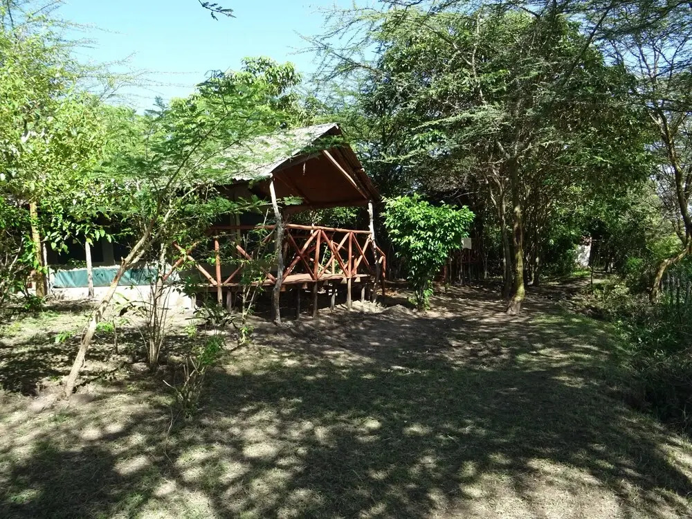 Crocodile Camp-Masai Mara