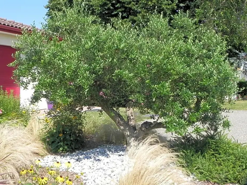 La clé de vos Rêves