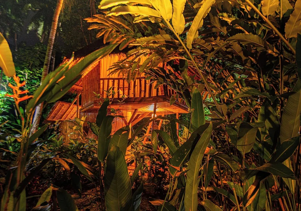 Water to Forest Ecolodge