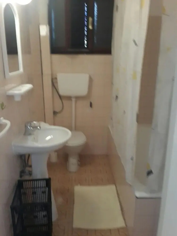 Apartments Andjus