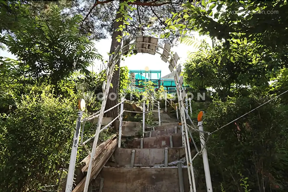 Wongju Pine Pension