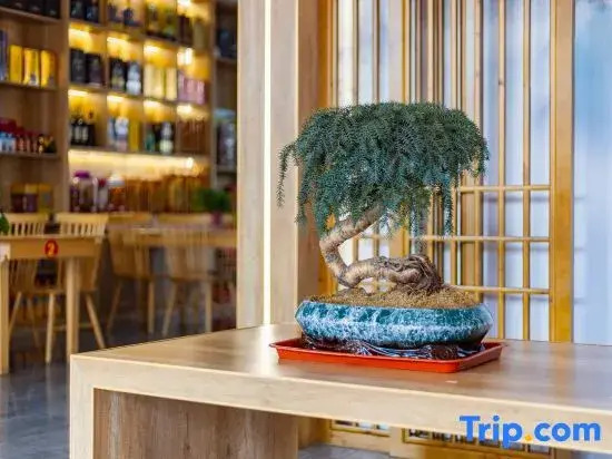 Wangxia Homestay (Jiuhuashan Transfer Center)