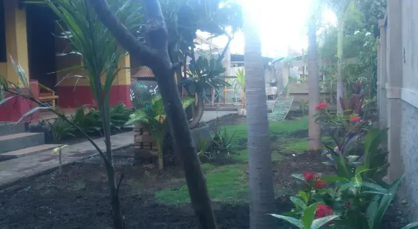 Pondok Gili Gecko