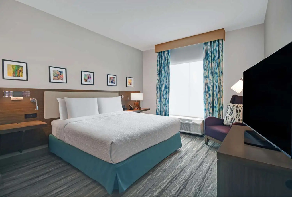 Hilton Garden Inn Houston Medical Center, TX